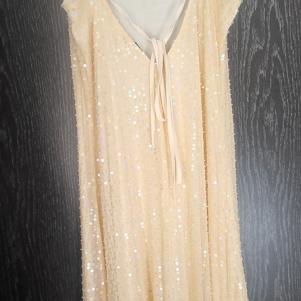 Zara Women's Beaded Sheer Sequins Maxi Dress Beige Size L - Picture 8 of 16
